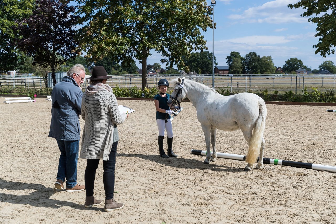 Bild 59 - Pony Akademie Turnier
